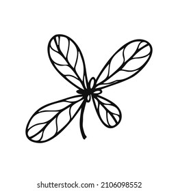 Hoja de árbol dibujada a mano, rama, elemento floral sobre un fondo blanco aislado. Doodle, simple ilustración de contorno. Se puede utilizar para la decoración de textiles, papel y otras superficies.