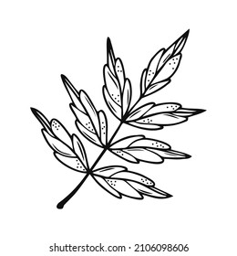 Hand drawn tree leaf, twig, floral element on a white isolated background. Doodle, simple outline illustration. It can be used for decoration of textile, paper and other surfaces.