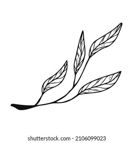 Hand drawn tree leaf, twig, floral element on a white isolated background. Doodle, simple outline illustration. It can be used for decoration of textile, paper and other surfaces.