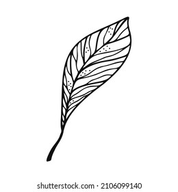 Hand drawn tree leaf, twig, floral element on a white isolated background. Doodle, simple outline illustration. It can be used for decoration of textile, paper and other surfaces.