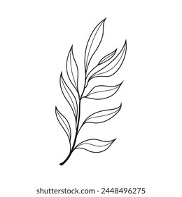 Hand drawn tree leaf twig floral element illustration.