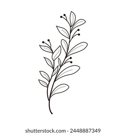 Hand gezeichnete Baum Blatt Zweig Blumenelement Illustration.