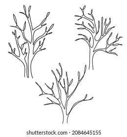 Hand drawn of a tree with no leaves. Vector