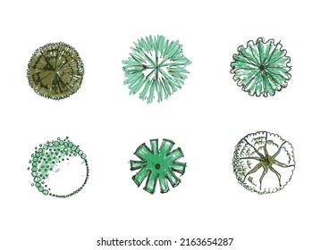 Hand Drawn Tree Plan Set