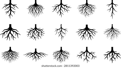 Hand Drawn Tree Root Collection for Botanical Logos, Nature Branding, Gardening, and Educational Design