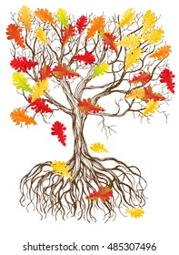 Hand - drawn tree with root and falling autumn leaves on white background.