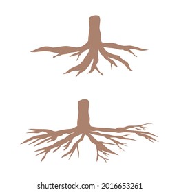 ilustración de raíz de árbol dibujado a mano