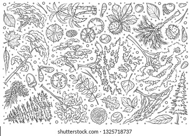 Hand drawn tree set doodle vector illustration background
