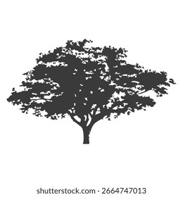 Silueta del árbol dibujado a mano sobre fondo blanco