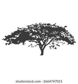 Silueta del árbol dibujado a mano sobre fondo blanco