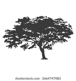 Silueta del árbol dibujado a mano sobre fondo blanco