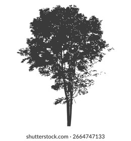 Silueta del árbol dibujado a mano sobre fondo blanco