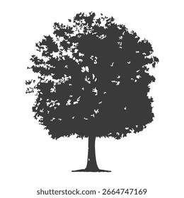 Silueta del árbol dibujado a mano sobre fondo blanco