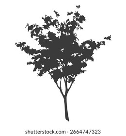 Hand drawn tree silhouette on white background
