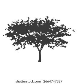 Silueta del árbol dibujado a mano sobre fondo blanco