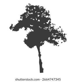 Silueta del árbol dibujado a mano sobre fondo blanco