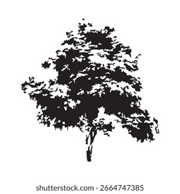 Hand drawn tree silhouette on white background