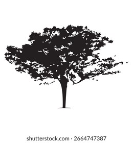 Silueta del árbol dibujado a mano sobre fondo blanco