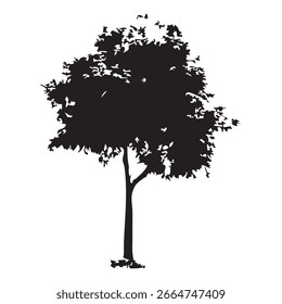 Silueta del árbol dibujado a mano sobre fondo blanco
