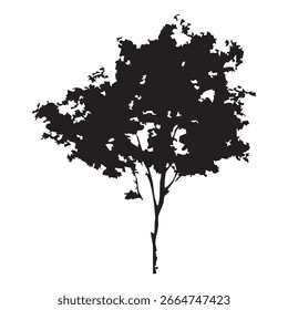 Hand drawn tree silhouette on white background