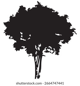 Hand drawn tree silhouette on white background