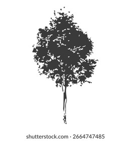 Silueta del árbol dibujado a mano sobre fondo blanco
