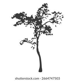 Handgezeichnete Baumsilhouette auf weißem Hintergrund