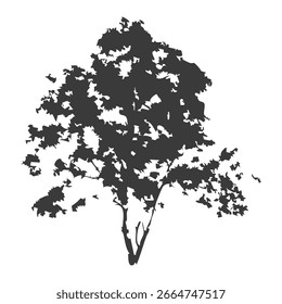 Hand drawn tree silhouette on white background