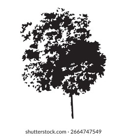 Silueta del árbol dibujado a mano sobre fondo blanco