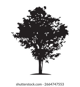Hand drawn tree silhouette on white background