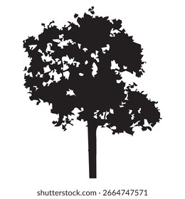 Hand drawn tree silhouette on white background