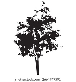 Silueta del árbol dibujado a mano sobre fondo blanco