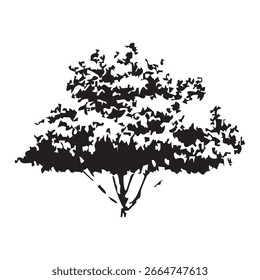 Hand drawn tree silhouette on white background