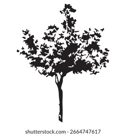 Silueta del árbol dibujado a mano sobre fondo blanco