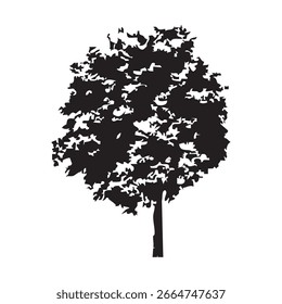 Silueta del árbol dibujado a mano sobre fondo blanco