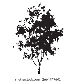 Hand drawn tree silhouette on white background