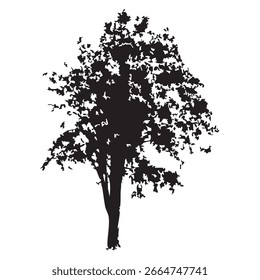 Silueta del árbol dibujado a mano sobre fondo blanco