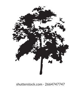 Silueta del árbol dibujado a mano sobre fondo blanco