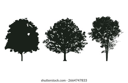 Silueta del árbol dibujado a mano sobre fondo blanco