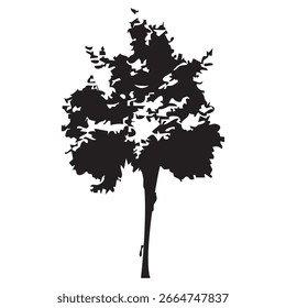 Silueta del árbol dibujado a mano sobre fondo blanco