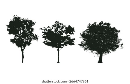 Silueta del árbol dibujado a mano sobre fondo blanco