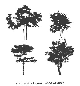 Silueta del árbol dibujado a mano sobre fondo blanco