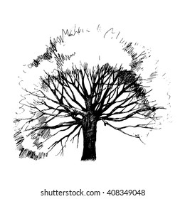Silueta de árbol dibujado a mano sobre fondo blanco
