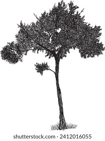 Esbozo de árbol dibujado a mano con fondo blanco