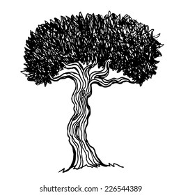 Hand drawn tree symbol isolated vector illustration