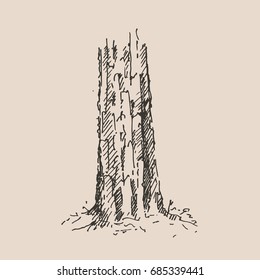 Hand drawn tree trunk. Vector illustration.