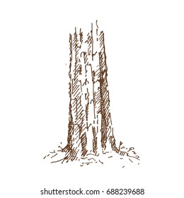 Hand drawn tree trunk. Vector illustration.