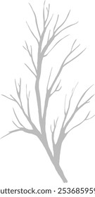 Hand Drawn Tree Twig Vector Illustration