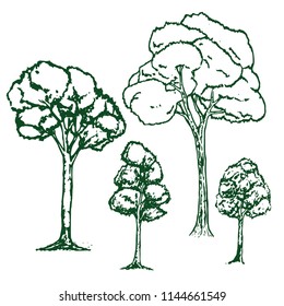 Hand Drawn Tree Vector