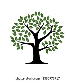 Perfect Tree Icon Leaves Stock Vector (Royalty Free) 491590681
